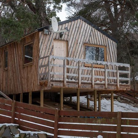 Pine Marten Bar Glenmore Treehouse Aviemore Exterior photo