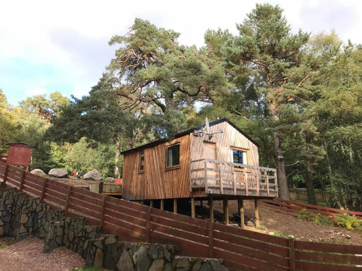 Pine Marten Bar Glenmore Treehouse Aviemore Exterior photo